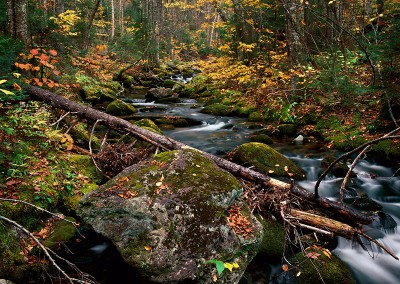 003 Crawford's Notch, New Hampshire stream