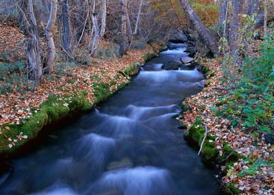 186 Eastern Sierra Stream