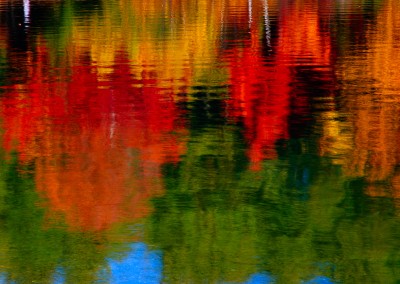 354 Impressionistic reflections, Walden Pond
