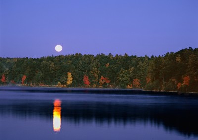 257 Full moon setting, Walden Pond