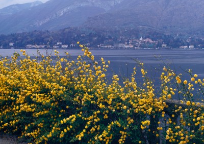 547 Bellagio, Italy terrazza on Lake Como