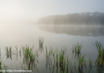 00202 Morning fog, Great Trinity Forest, Dallas, Texas