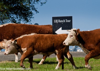 2681 LBJ Ranch Tour this way! Lyndon B. Johnson National Historical Park