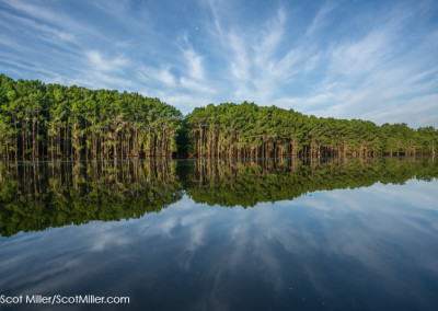 07951 Islands & sky mirror image, Caddo Lake, Texas
