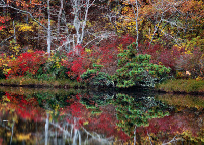 789 Autumnal tints, brilliant reflections, Wellfleet, Cape Cod
