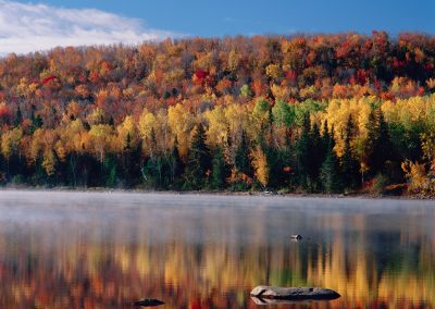 803 Fall foliage reflecting, First Roach Pond, Kokadjo, Maine Woods