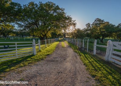 0018 Country lane on LBJ Ranch at sunset, Lyndon B. Johnson National Historical Park, Stonewall, TX