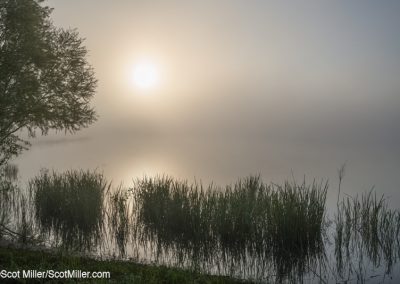 00193 Foggy sunrise, Great Trinity Forest, Dallas, TX