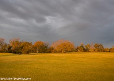 04446 Dramatic Autumn color, Trinity Forest Golf Club, Dallas, TX