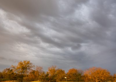 04450 Autumn color and dramatic sky, early morning light, Trinity Forest Golf Club, Dallas, TX