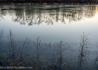 06350 Paper-thin ice & reflections at sunrise, Great Trinity Forest, Dallas, TX