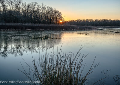 06358 Paper-thin ice at sunrise, Great Trinity Forest, Dallas, TX