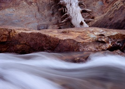 1284 Tuolumne River cascade, Yosemite wilderness