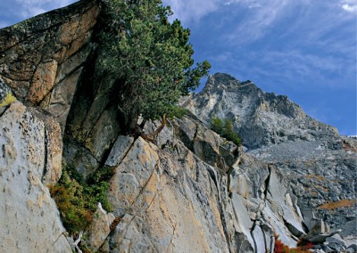 394 High Sierra afternoon, Yosemite National Park wilderness