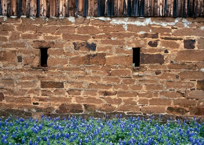 005 Old safehouse and bluebonnets, Mason, TX