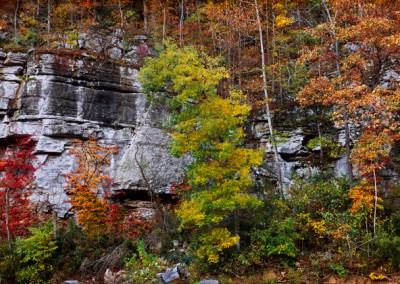 1075 Fall foliage in Ozarks, Roark Bluff, Buffalo National River, Arkansas, PANORAMA