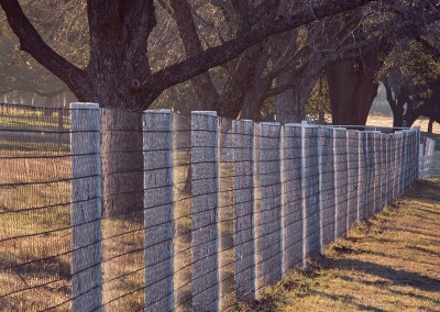1420 Oaks & fence, sunrise, LBJ Ranch, Stonewall, Texas