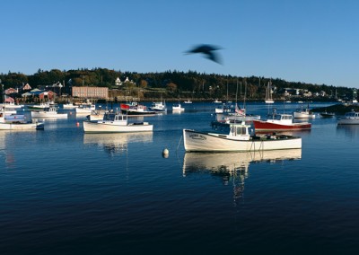 528 Lobster boats in harbor, Downeast Maine, Panorama