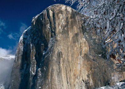 534 El Capitan, fresh snow, Yosemite Valley