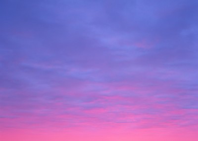 776 The Purple Sea, Cape Cod