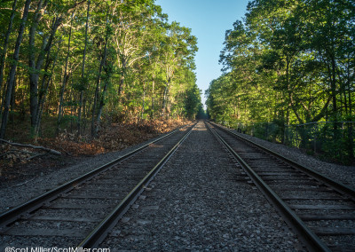 3370504 Railroad tracks near Walden Pond, Concord, MA
