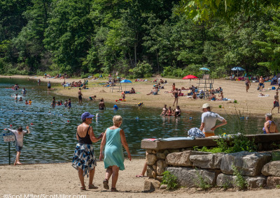 3370559 Red Cross Beach at Walden Pond, Walden Pond State Reservation, Concord, MA