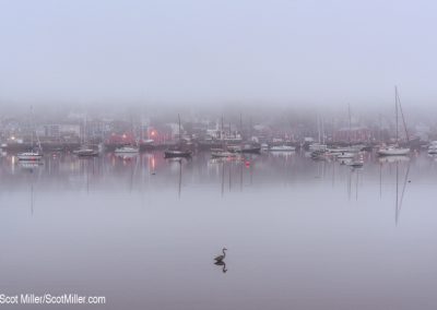 05116 Harbor, foggy morning, Lunenburg, Nova Scotia, Canada