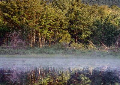 1267 Unnamed pond at sunrise, Katahdin Woods and Waters National Monument, Maine