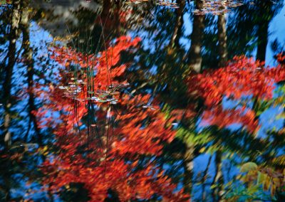 525 Autumn reflections #2, Mt. Desert Island, Maine
