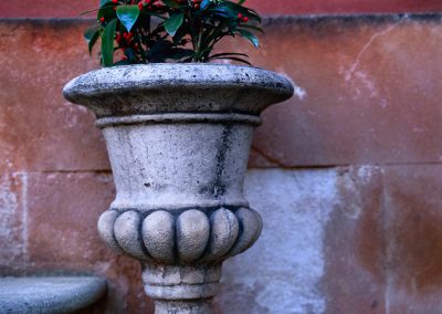 875 Urn with plants on steps, Roussillon, France