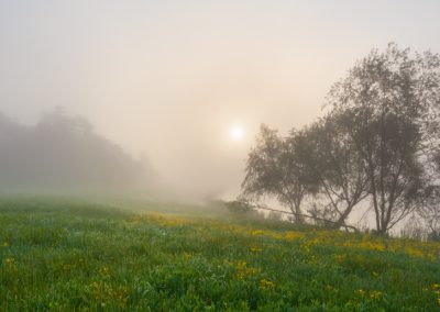 00188 Foggy spring sunrise, Great Trinity Forest, Dallas, TX, PANORAMA
