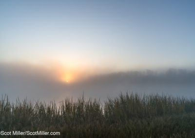 02224 Sun rising through steam fog, Great Trinity Forest, Dallas, TX