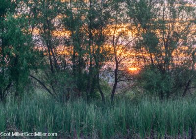 03007 June sunrise at John Bunker Sands Wetland Center, Seagoville, Texas