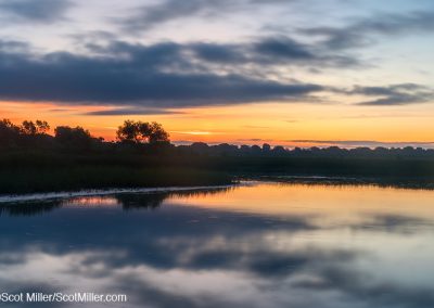 03364 Orange & blue dawn, John Bunker Sands Wetland Center, Seagoville, Texas