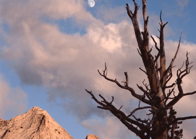 1124 Echo Peaks, moon rising, Yosemite wilderness