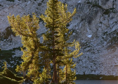 1296 First light, High Sierra lake, Yosemite wilderness