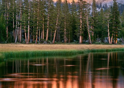 395 Orange sunset, Upper Lyell Fork of the Merced, Yosemite