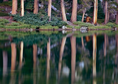 572 Evening reflections, wilderness lake, Yosemite National Park